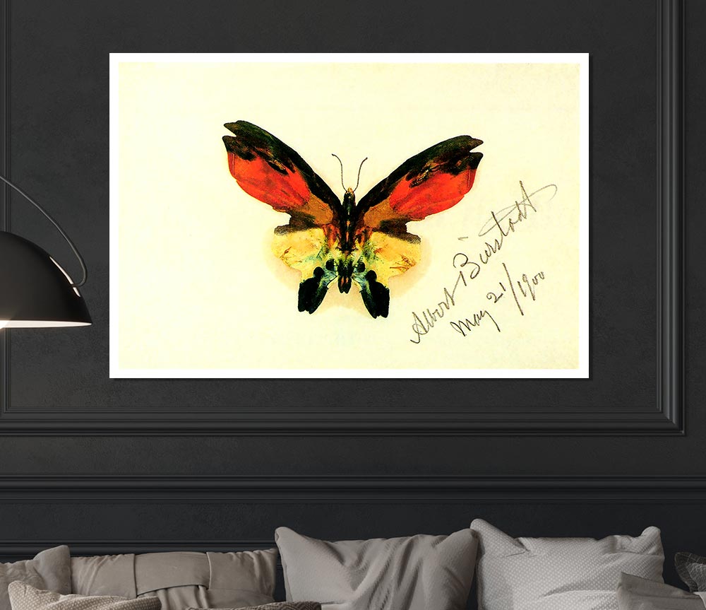 Bierstadt Butterfly 2 Print Poster Wall Art