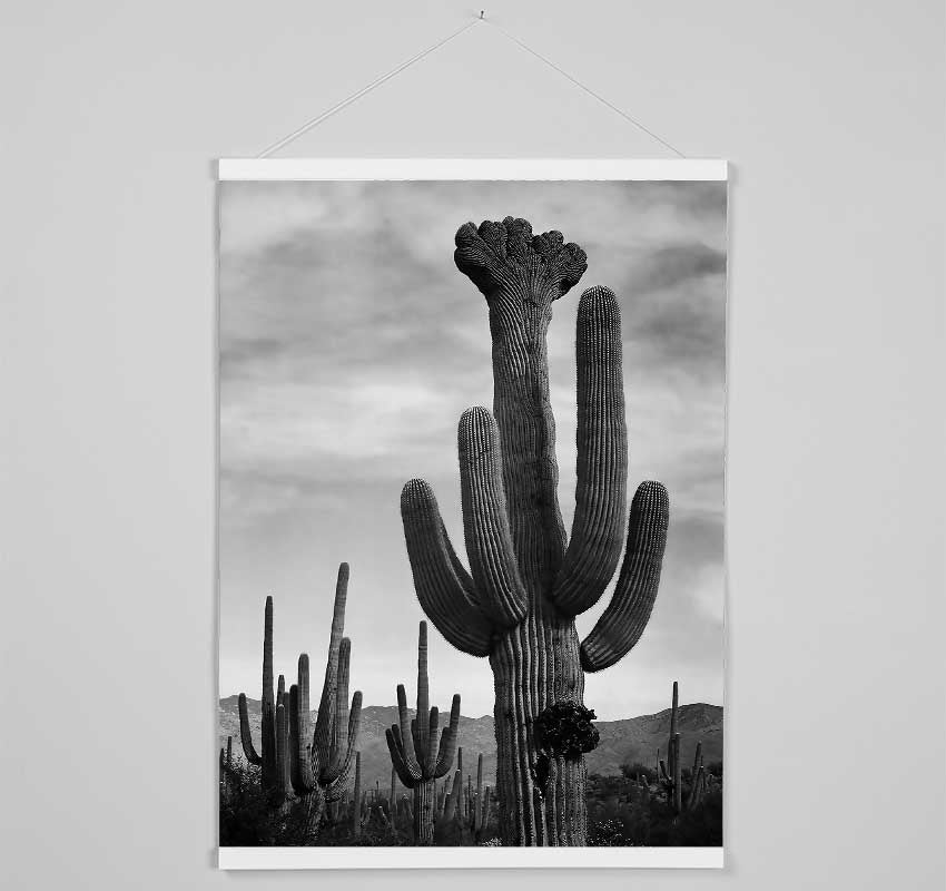 Ansel Adams Cactus In Saguaro National Monument In Arizona B n W Hanging Poster - Wallart-Direct UK