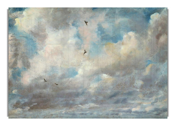 Constable Cloud Study