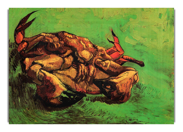 Crab On Its Back By Van Gogh