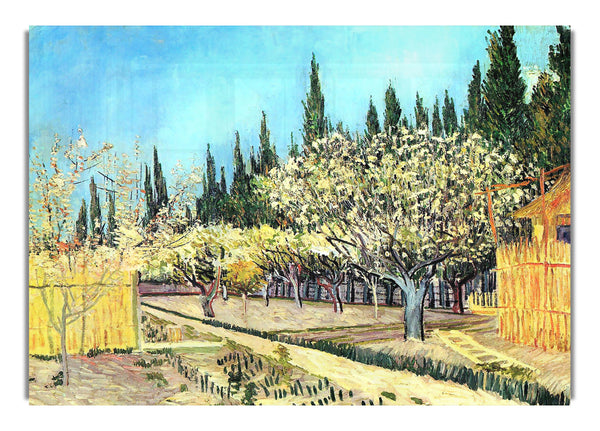 Blühender Obstgarten, umgeben von Zypressen von Van Gogh