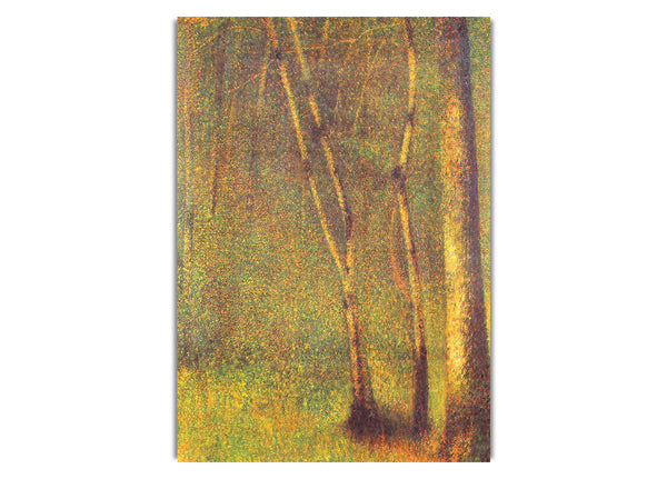 Forest In Pontaubert By Seurat