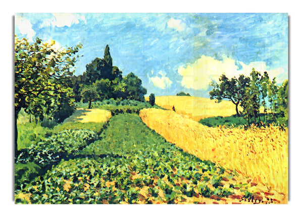 Grain Fields On The Hills Of Argenteuil By Sisley