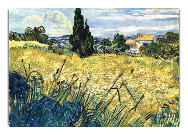 Green Wheat Field With Cypress By Van Goghb