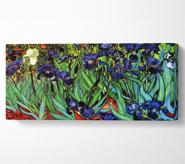 Van Gogh Irises 2