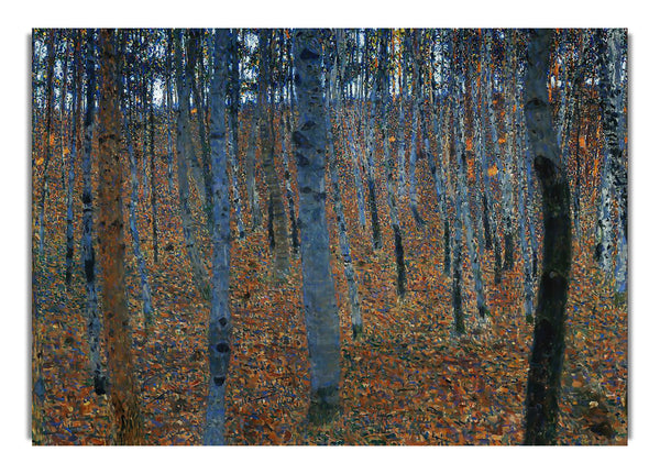 Klimt Beech Grove I