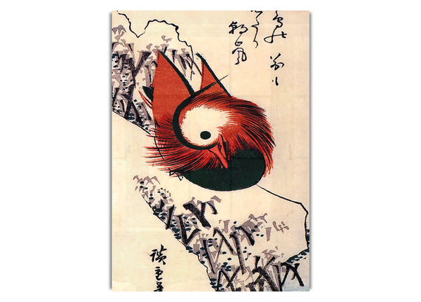 Mandarin Duck By Hiroshige