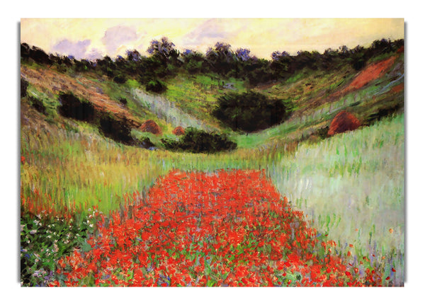 Monet Poppy Field Of Flowers In Giverny