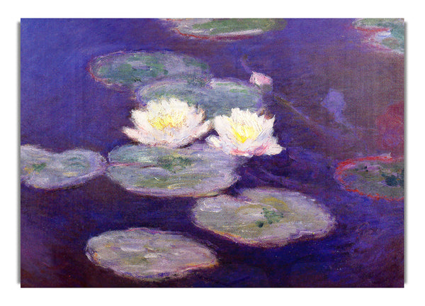 Monet Water Lily