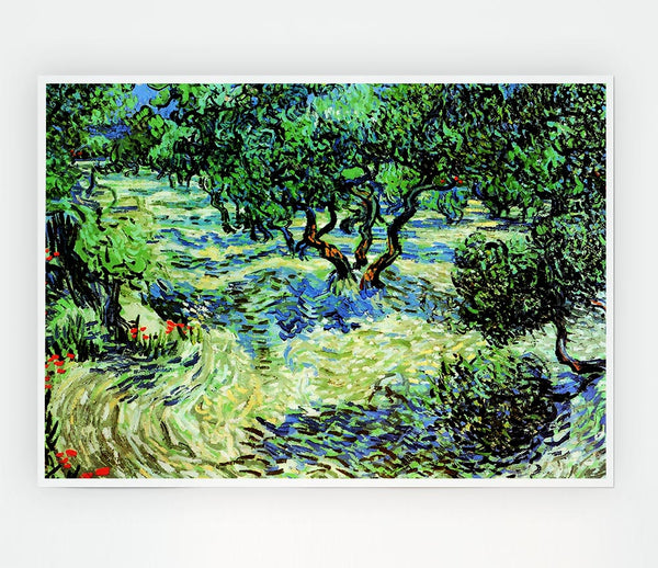 Van Gogh Olive Grove 2 Print Poster Wall Art