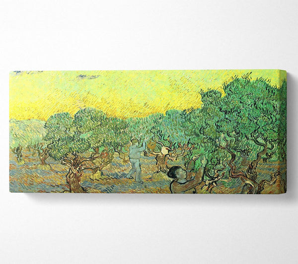 Van Gogh Olive Pickers In A Grove