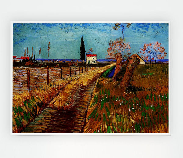 Van Gogh Path Through A Field With Willows Print Poster Wall Art