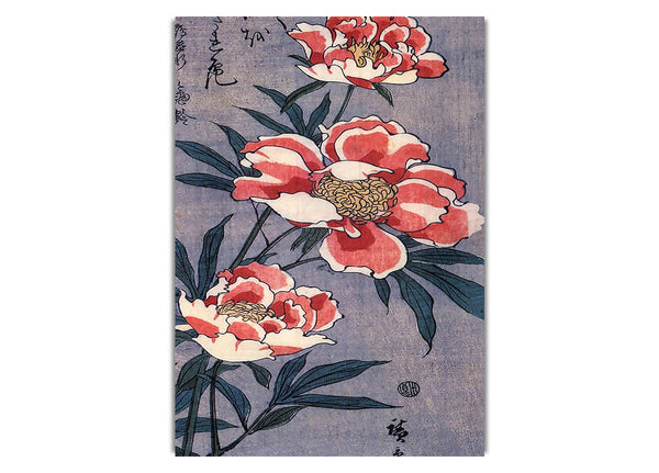 Peonies By Hiroshige