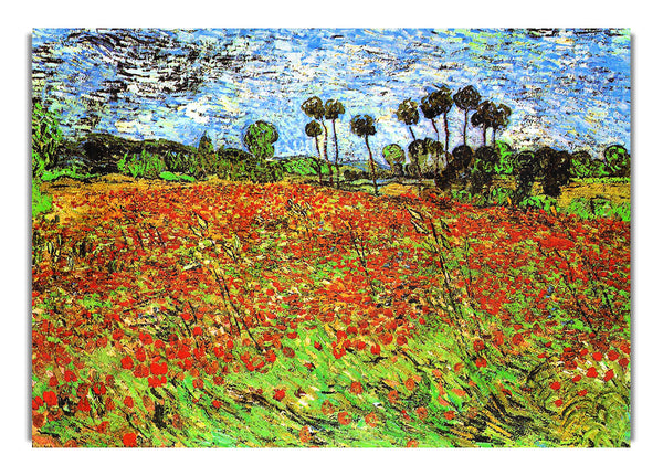 Poppy Fields By Van Gogh