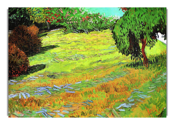 Sunny Lawn In A Public Park By Van Gogh