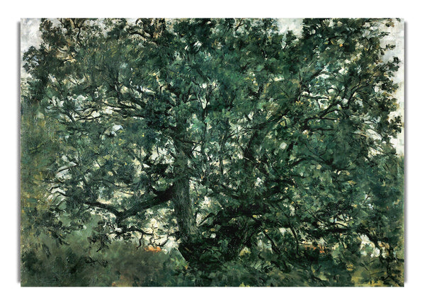 Baum von Lovis Corinth