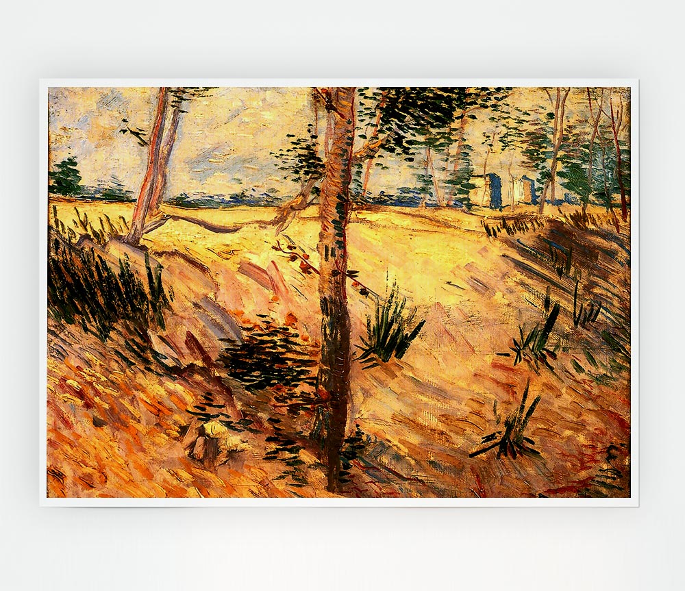 Van Gogh Trees In A Field On A Sunny Day Print Poster Wall Art