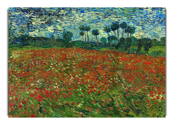 Van Gogh Poppy Field