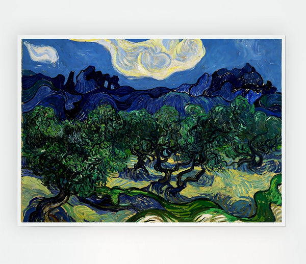 Van Gogh The Olive Trees Print Poster Wall Art