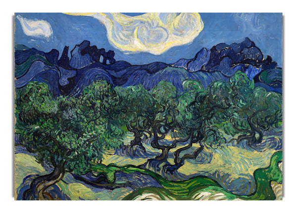 Van Gogh The Olive Trees