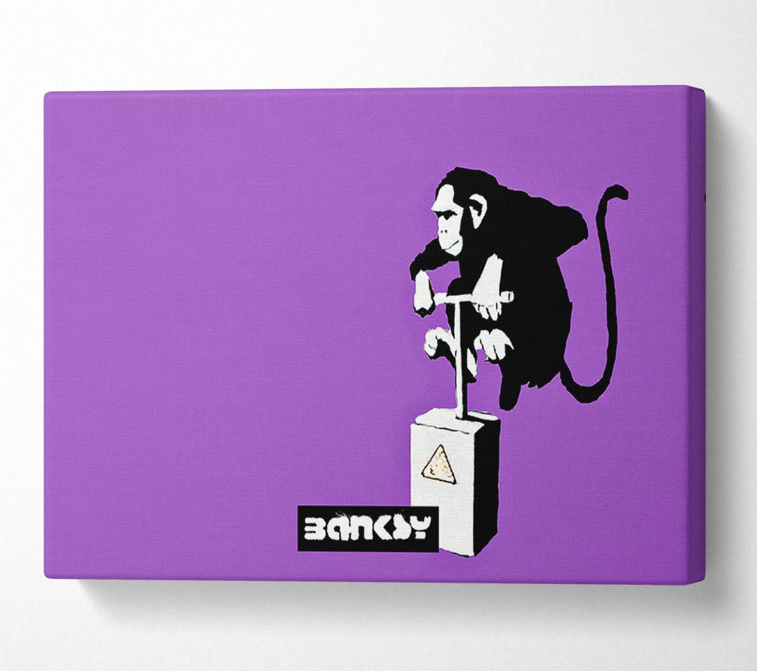 Picture of Monkey Detonator Purple Canvas Print Wall Art