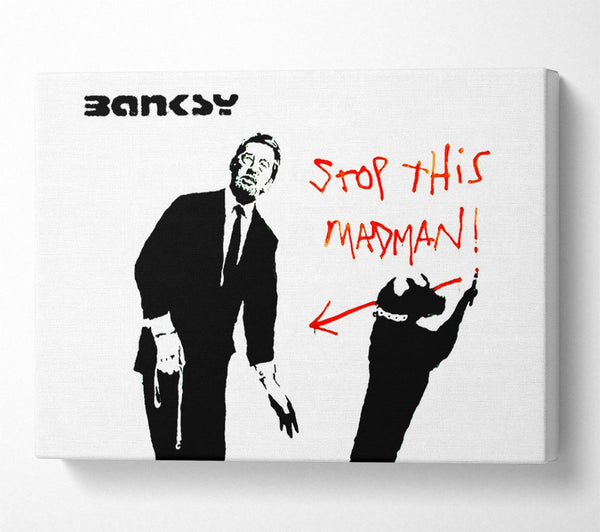 Picture of Stop This Madman Canvas Print Wall Art