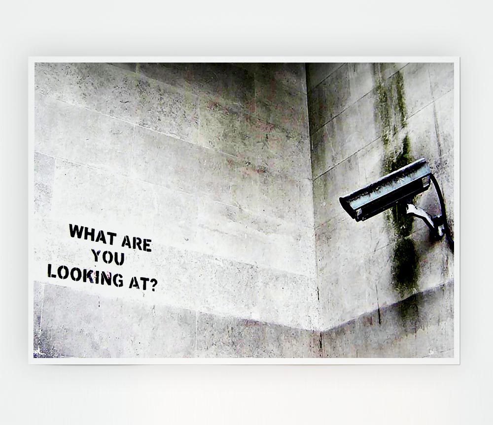 What Are You Looking At Print Poster Wall Art