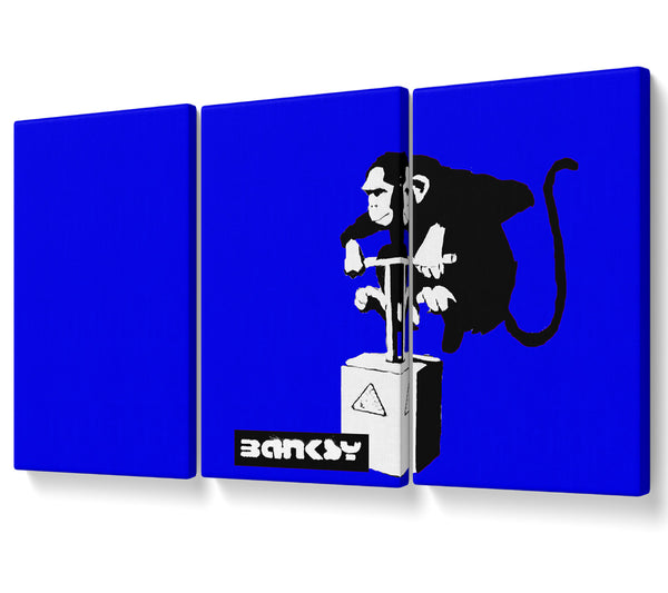 Monkey Detonator Blue