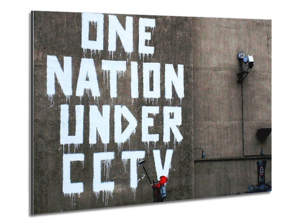 One Nation Under Cctv