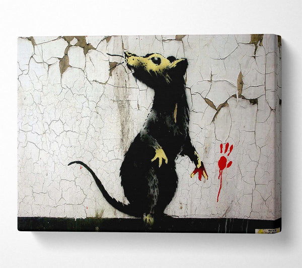 Picture of Rat Paw Canvas Print Wall Art