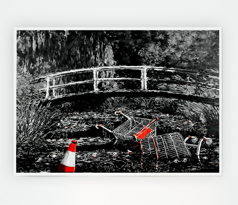 Waterlily Trash B N W Colour Print Poster Wall Art