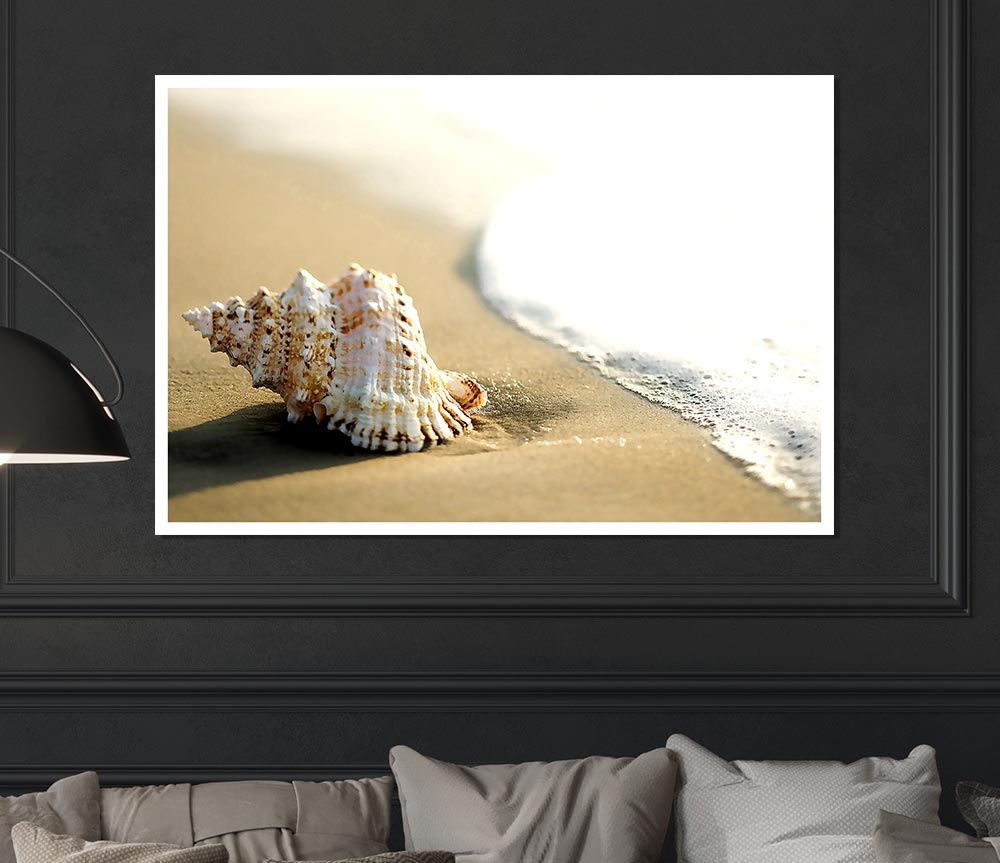 Whelk Shell On The Beach 2 Print Poster Wall Art