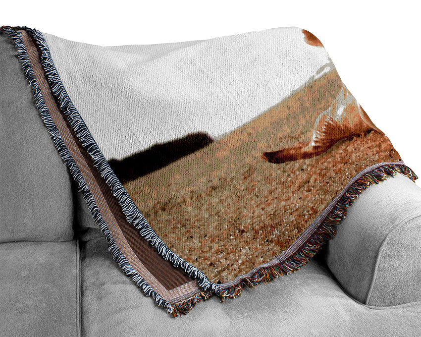 Whelk Shell On The Beach Woven Blanket