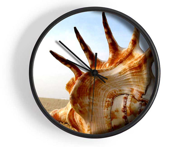 Whelk Shell On The Beach Clock - Wallart-Direct UK