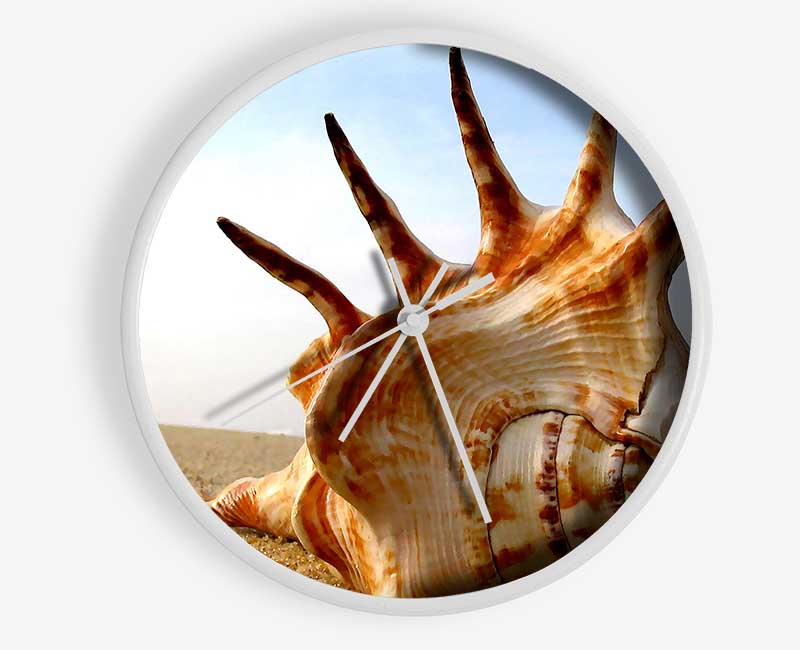 Whelk Shell On The Beach Clock - Wallart-Direct UK