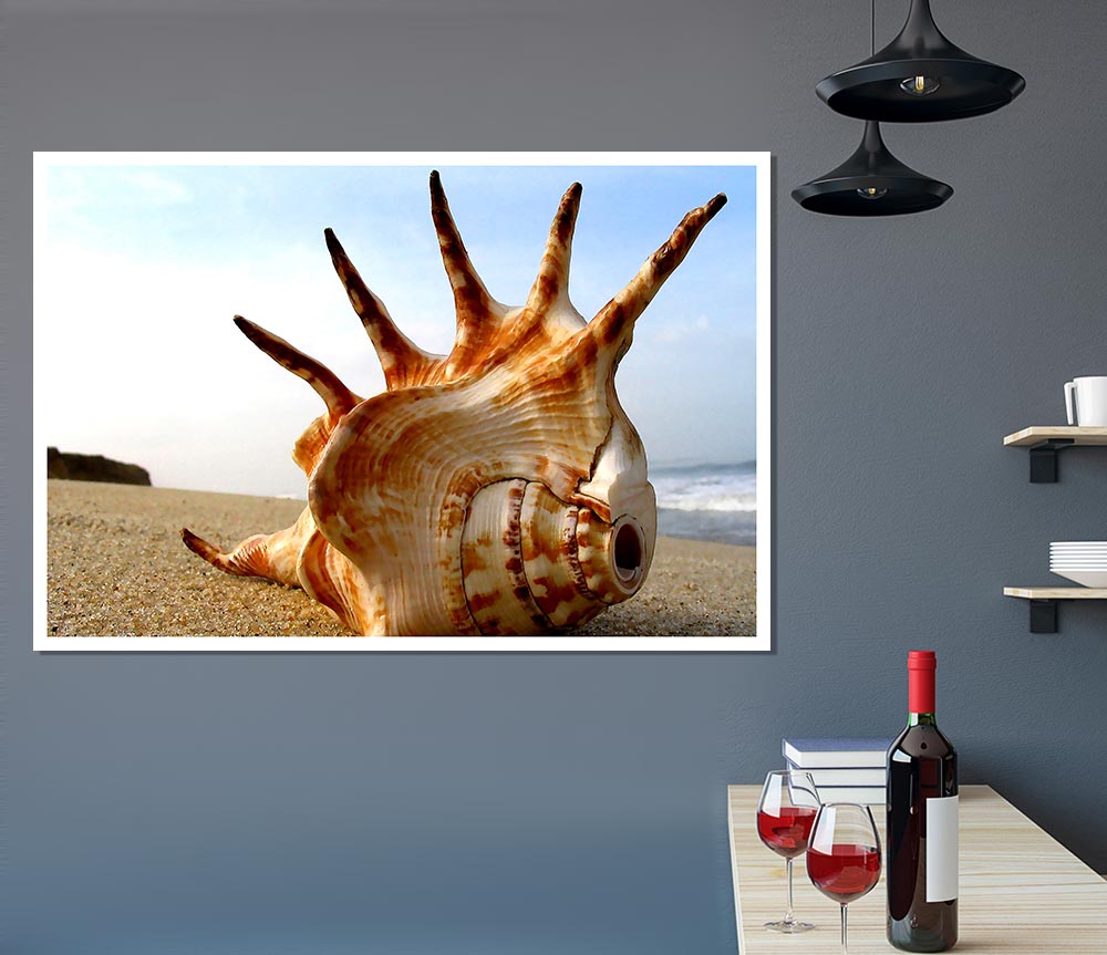 Whelk Shell On The Beach Print Poster Wall Art