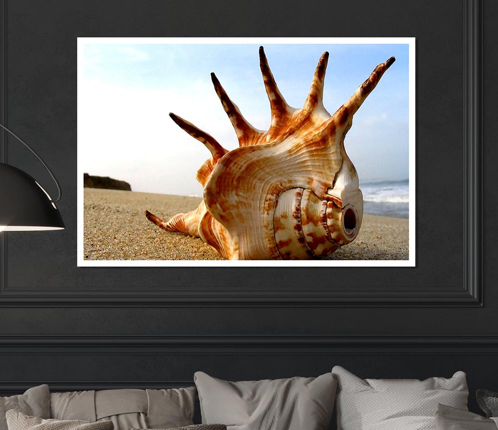 Whelk Shell On The Beach Print Poster Wall Art