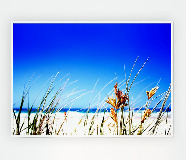 Clear Beach Sky Print Poster Wall Art