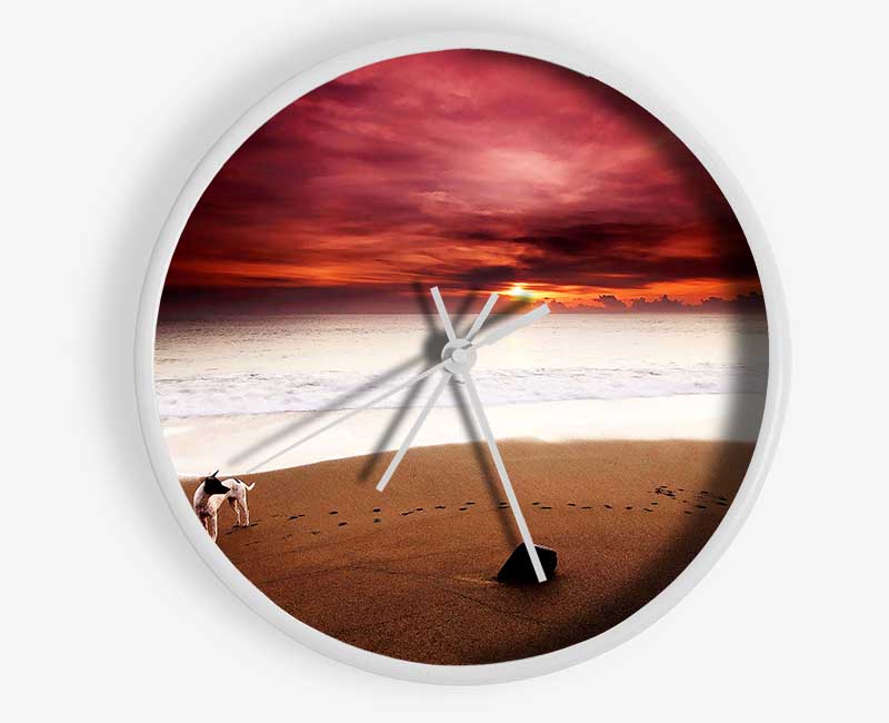 Dog On The Sunset Beach Clock - Wallart-Direct UK