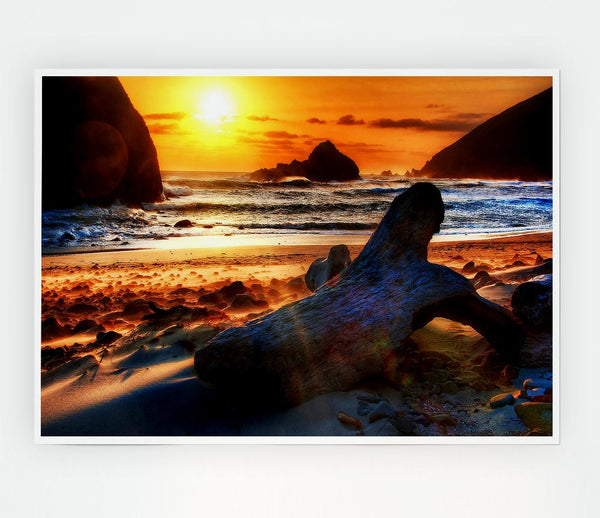 Driftwood At Sunset Print Poster Wall Art