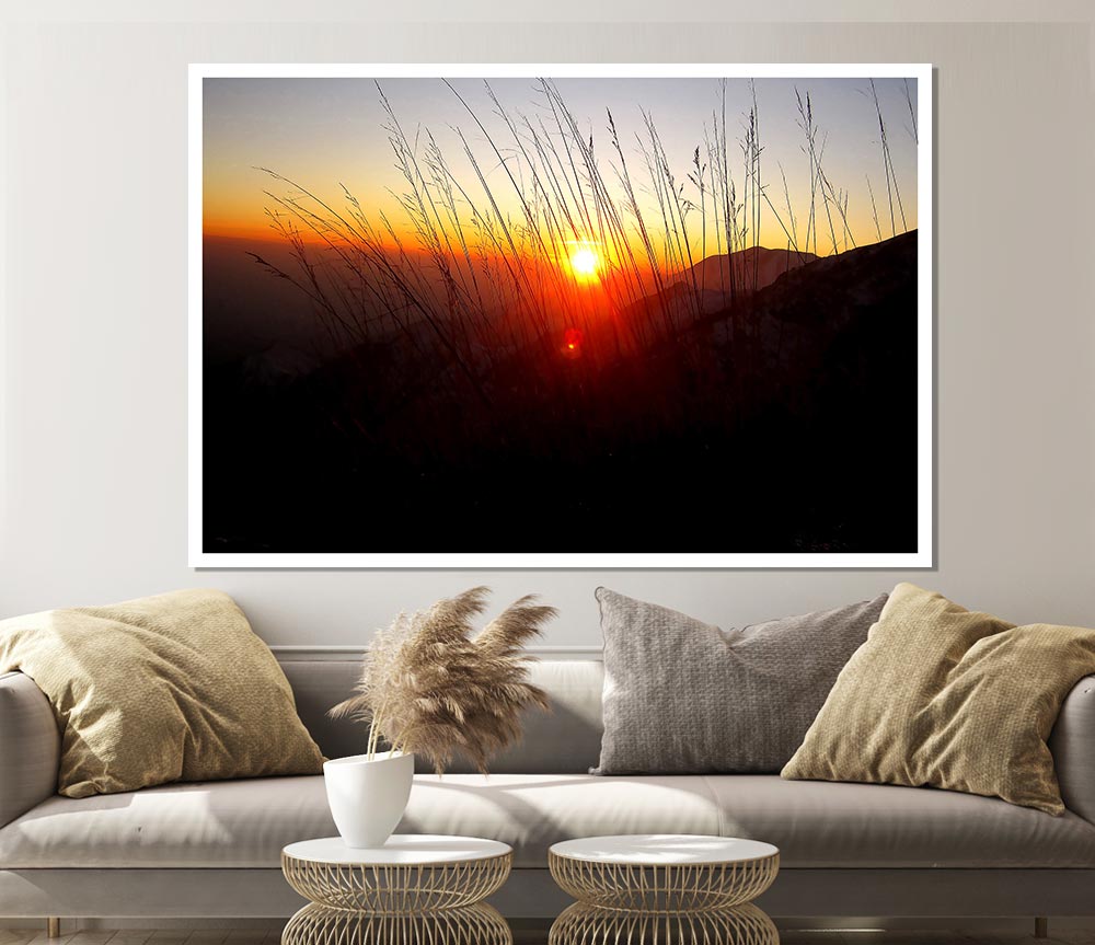 Dusk Through The Reeds Print Poster Wall Art