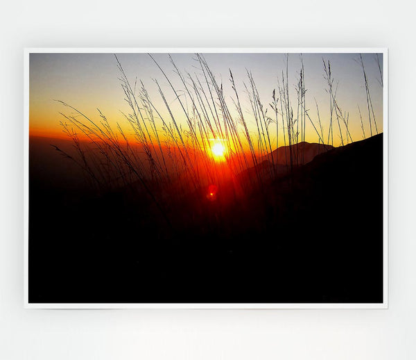 Dusk Through The Reeds Print Poster Wall Art