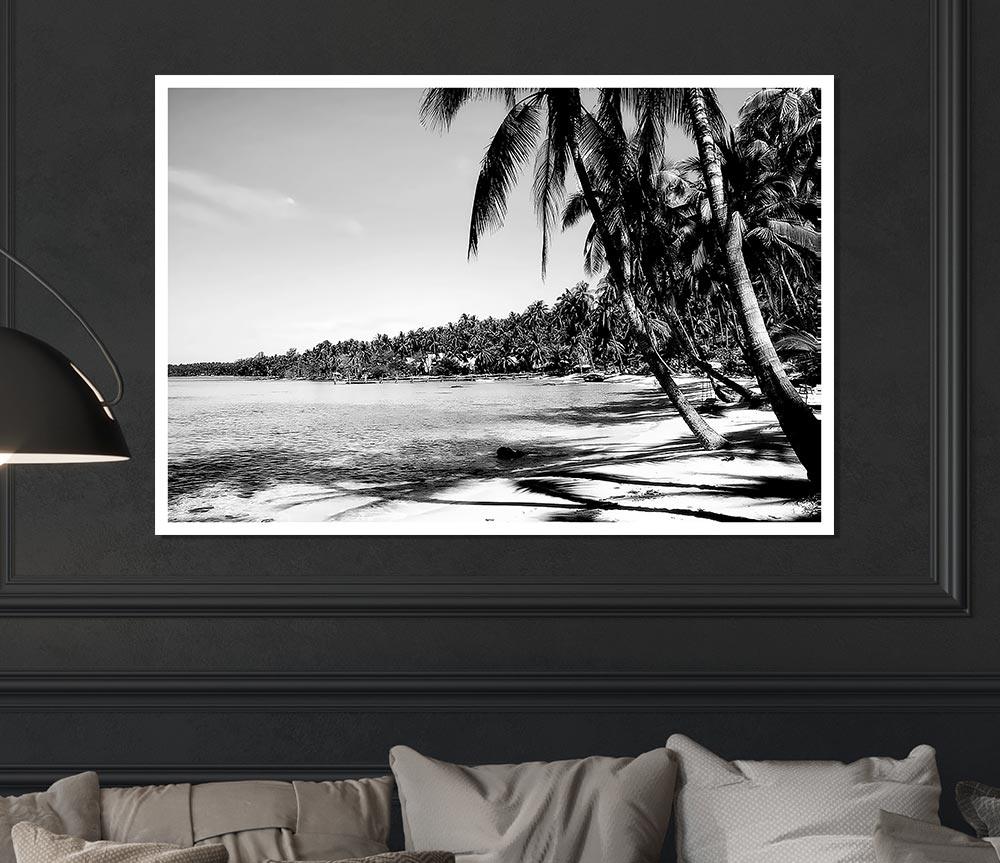 Beach Palms B N W Print Poster Wall Art