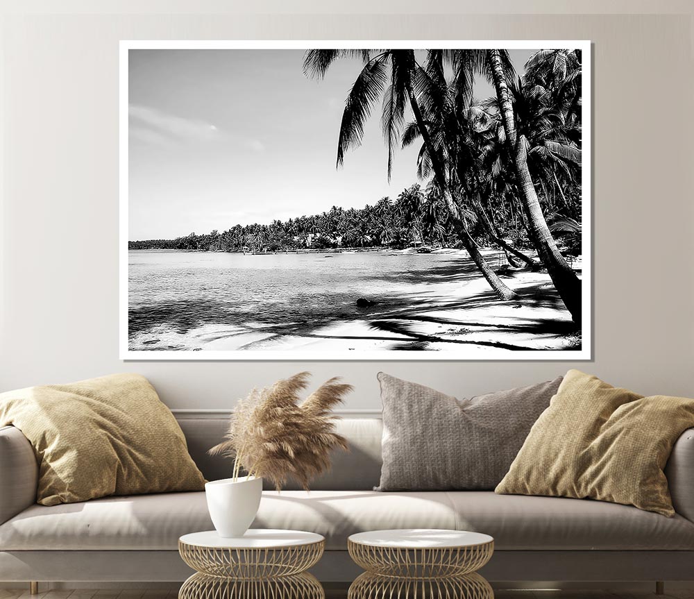 Beach Palms B N W Print Poster Wall Art