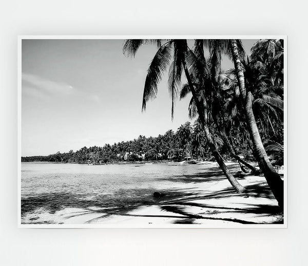 Beach Palms B N W Print Poster Wall Art