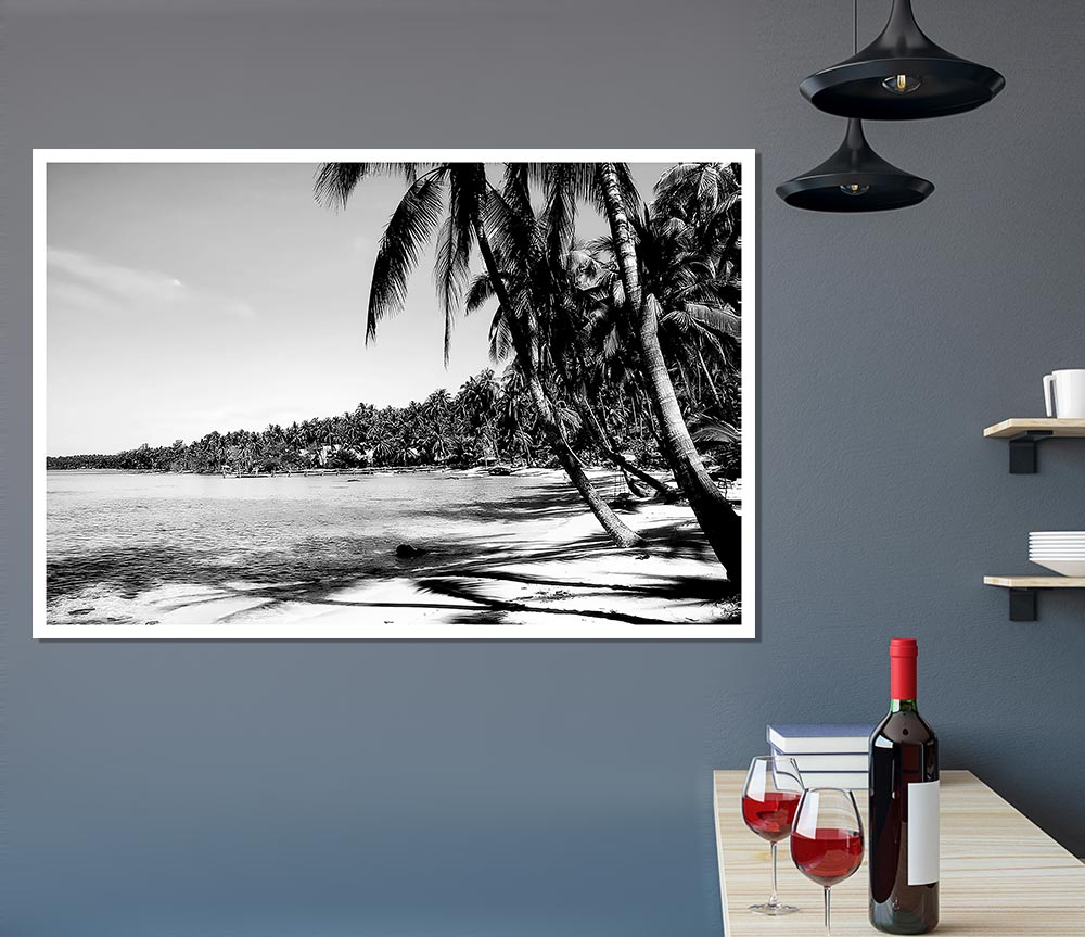 Beach Palms B N W Print Poster Wall Art