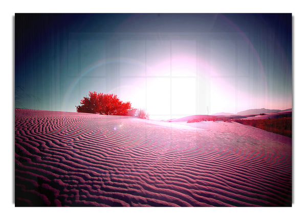 Desert Flare