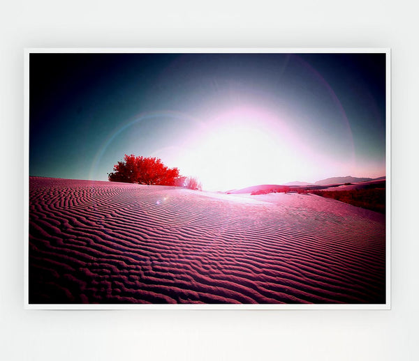 Desert Flare Print Poster Wall Art