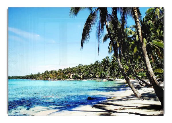 Relaxing Palm Tree Island