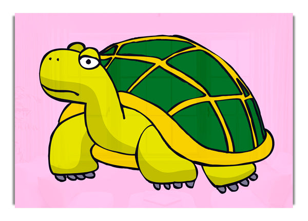 Big Turtle Pink